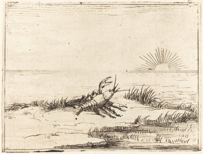 Rapu katselee aurinkoa tekijältä Jacques Callot