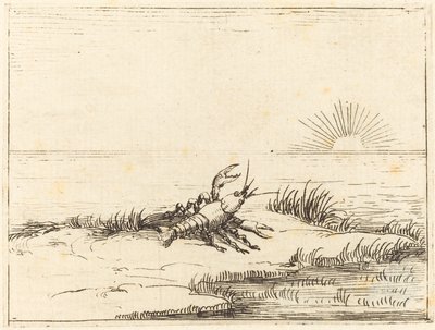 Rapu katselee aurinkoa tekijältä Jacques Callot