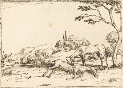 Doe Surua varsaansa. tekijältä Jacques Callot