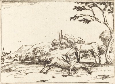 Doe Surua varsaansa tekijältä Jacques Callot