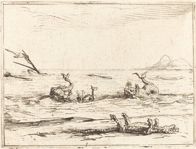 Delfiinit ja krokotiili tekijältä Jacques Callot
