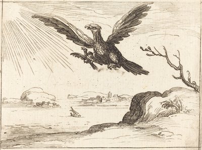 Kotka ja nuori tekijältä Jacques Callot