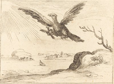 Kotka ja nuori tekijältä Jacques Callot