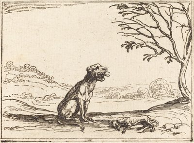 Lioness suree poikaansa. tekijältä Jacques Callot