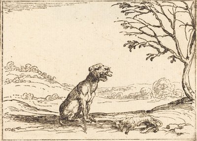 Lioness suree poikaansa tekijältä Jacques Callot