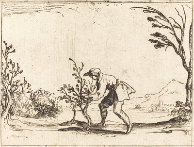 Mies leikkaa balsamipuuta tekijältä Jacques Callot