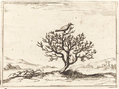 Satakieli pensaassa tekijältä Jacques Callot