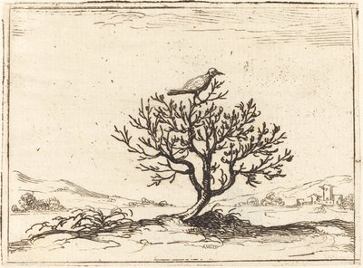Satakieli pensaassa tekijältä Jacques Callot