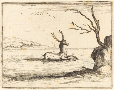 Stag in the Water tekijältä Jacques Callot