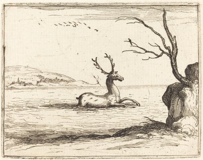 Stag in the Water tekijältä Jacques Callot