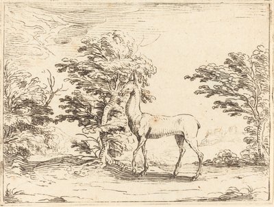 The Doe. tekijältä Jacques Callot
