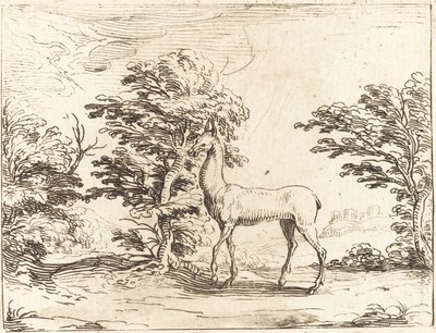 The Doe tekijältä Jacques Callot