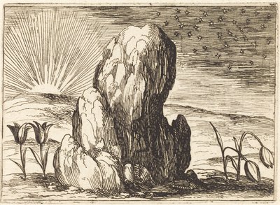 Tulppaanit ja aurinko tekijältä Jacques Callot