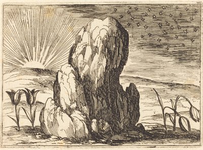 Tulppaanit ja aurinko tekijältä Jacques Callot