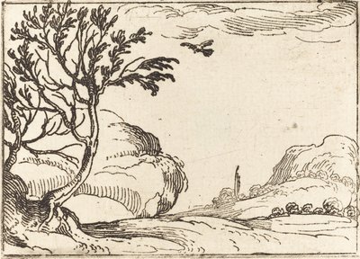 Turtle Dove Fly in the Desert tekijältä Jacques Callot