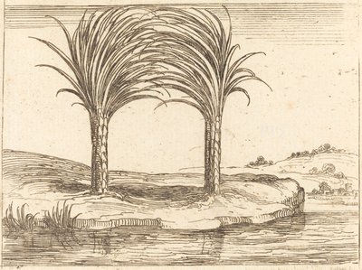 Kaksi palmua tekijältä Jacques Callot