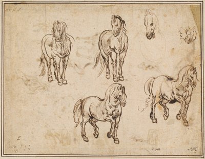 Hevostutkimukset [recto] tekijältä Jacques Callot after Antonio Tempesta