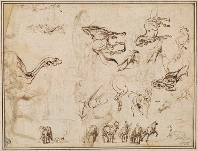 Hevostutkimukset [verso] tekijältä Jacques Callot after Antonio Tempesta