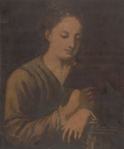 St. Catherine Reading tekijältä Jacques Christophe Le Blon