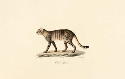  tekijältä Jacques Christophe Werner