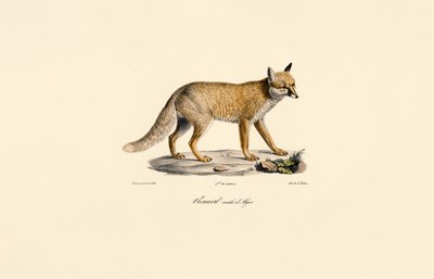  tekijältä Jacques Christophe Werner