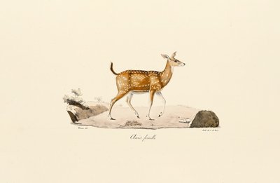  tekijältä Jacques Christophe Werner