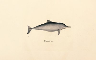  tekijältä Jacques Christophe Werner