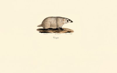  tekijältä Jacques Christophe Werner