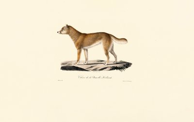  tekijältä Jacques Christophe Werner