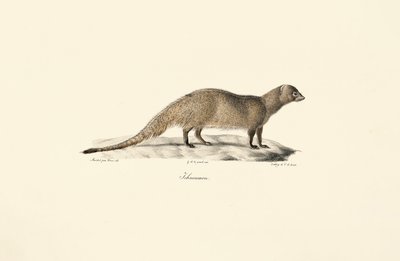  tekijältä Jacques Christophe Werner