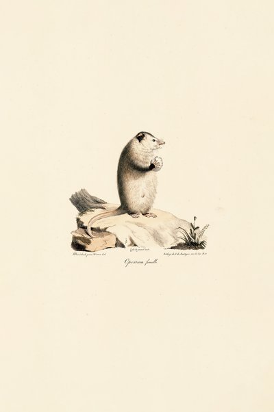  tekijältä Jacques Christophe Werner