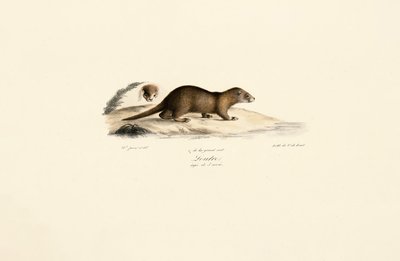  tekijältä Jacques Christophe Werner
