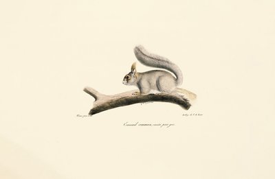  tekijältä Jacques Christophe Werner