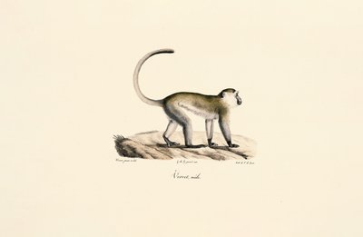  tekijältä Jacques Christophe Werner