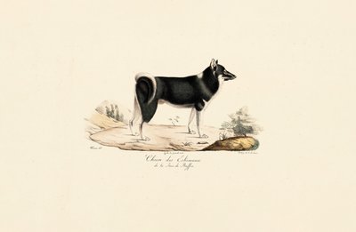  tekijältä Jacques Christophe Werner