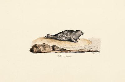  tekijältä Jacques Christophe Werner