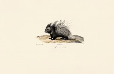  tekijältä Jacques Christophe Werner