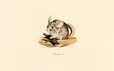  tekijältä Jacques Christophe Werner