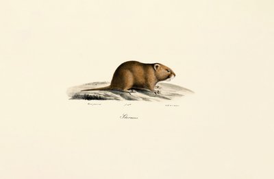  tekijältä Jacques Christophe Werner