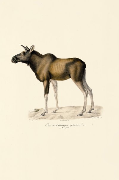  tekijältä Jacques Christophe Werner