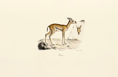  tekijältä Jacques Christophe Werner
