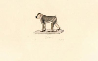  tekijältä Jacques Christophe Werner
