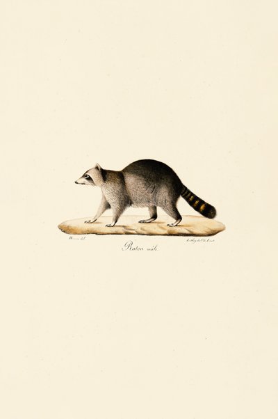  tekijältä Jacques Christophe Werner