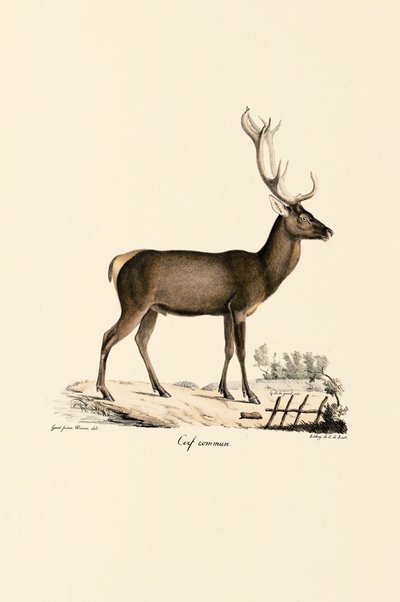  tekijältä Jacques Christophe Werner