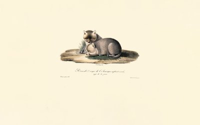  tekijältä Jacques Christophe Werner