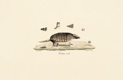  tekijältä Jacques Christophe Werner