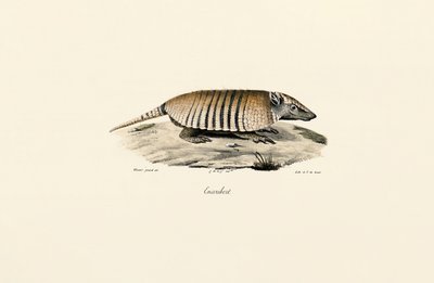  tekijältä Jacques Christophe Werner