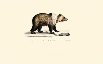  tekijältä Jacques Christophe Werner