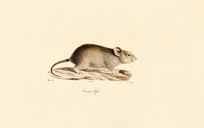  tekijältä Jacques Christophe Werner