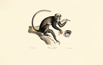  tekijältä Jacques Christophe Werner